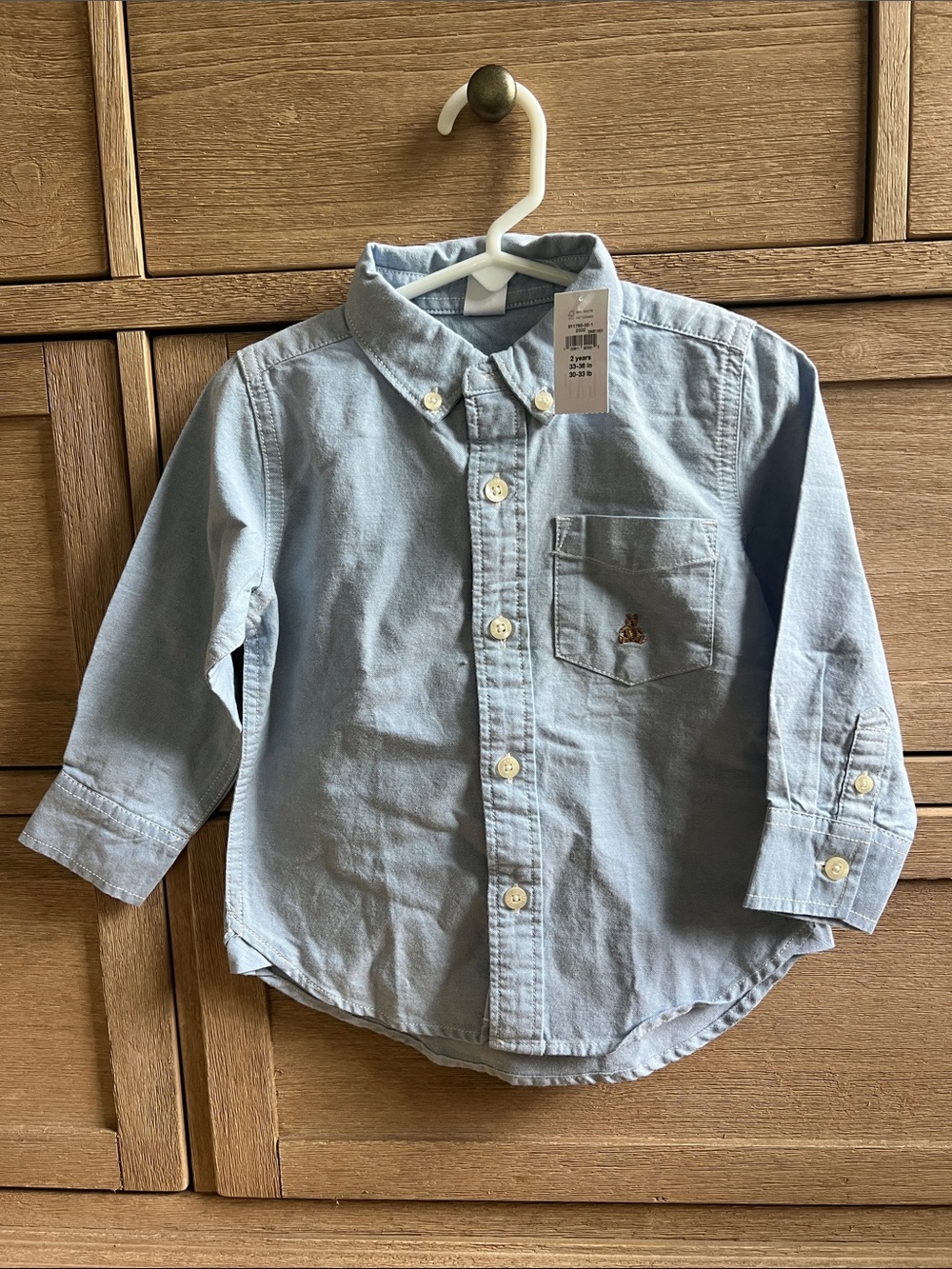 Gap Light Blue Boys' Button-Down Shirt